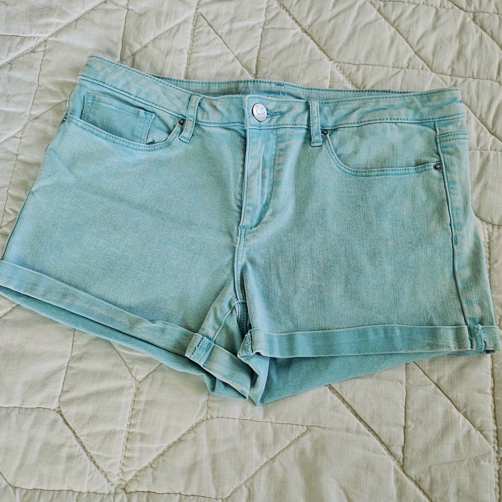 Chip & Pepper- Light Mint Green- Stonewash  Shorts- Size 30